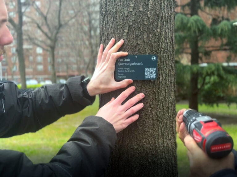 Penn South MRH Tree ID