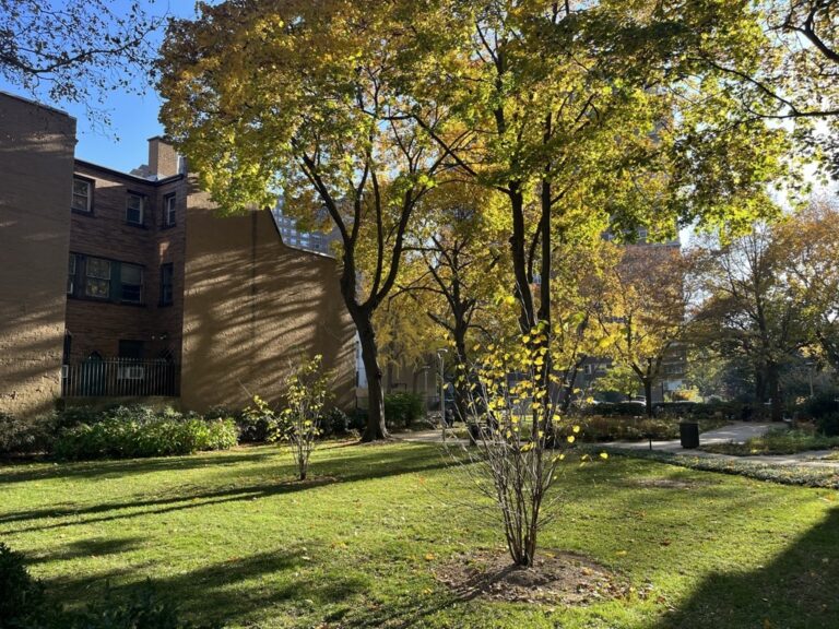 617103A4-6ED5-4783-84BD-6737D56634F5_1_105_c