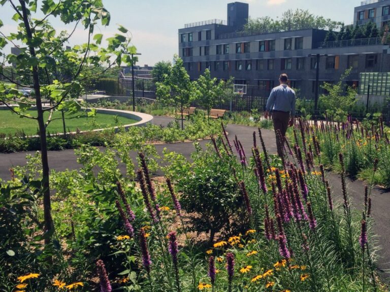 Bronxchester Gardens