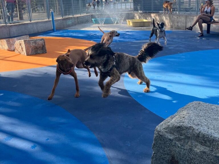 Hudson River Park Pier 84 Dog Run 14