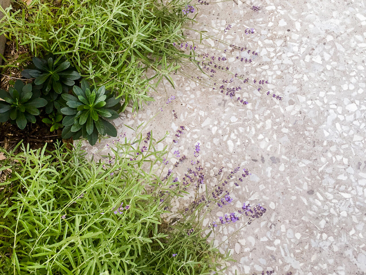 Stuarts Garden architectural landscape design examples