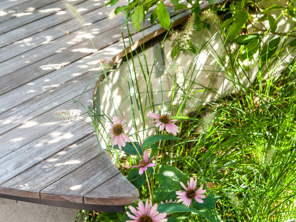 architectural landscape design examples for Stuarts Garden